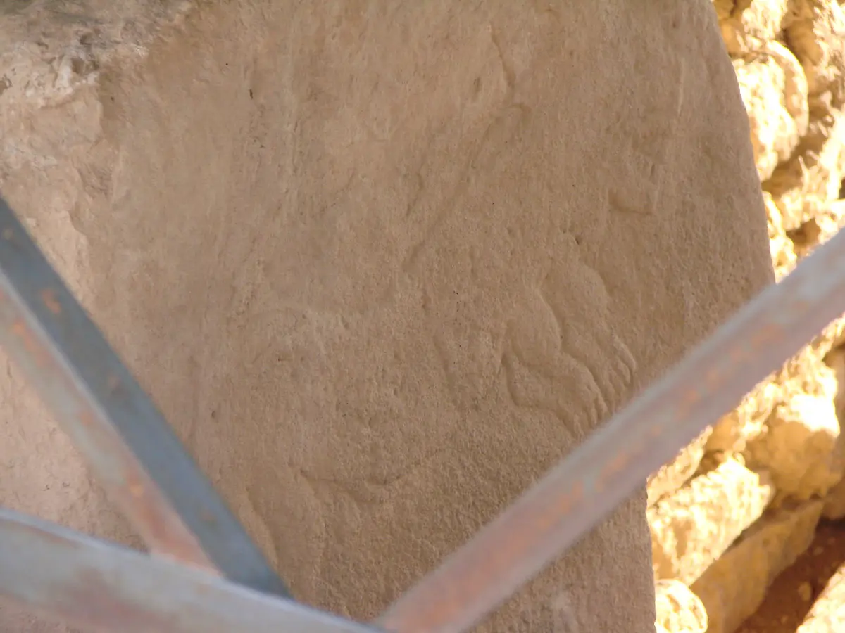 Rilievo di un felino su un pilastro di Göbekli Tepe